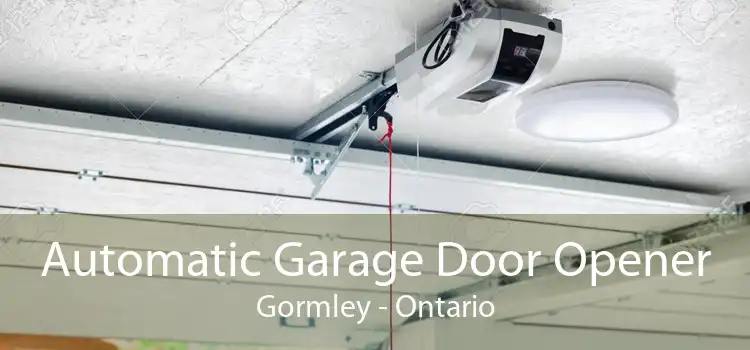 Automatic Garage Door Opener Gormley - Ontario