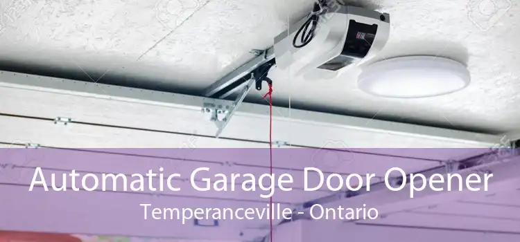 Automatic Garage Door Opener Temperanceville - Ontario
