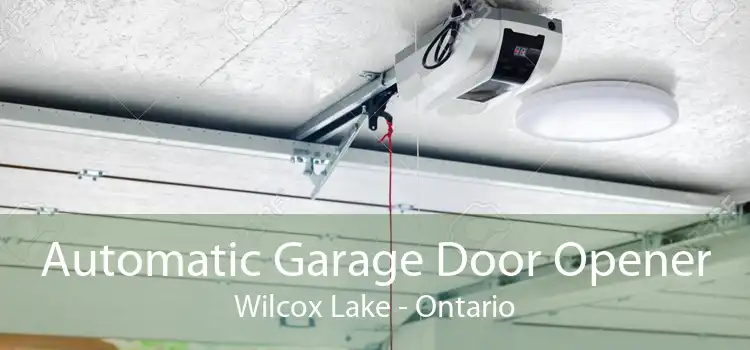 Automatic Garage Door Opener Wilcox Lake - Ontario