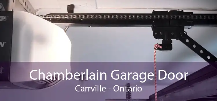 Chamberlain Garage Door Carrville - Ontario