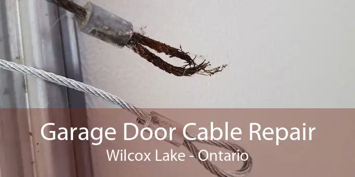 Garage Door Cable Repair Wilcox Lake - Ontario