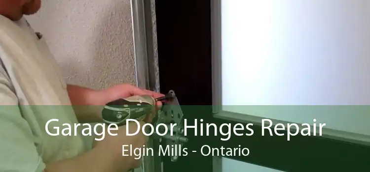 Garage Door Hinges Repair Elgin Mills - Ontario