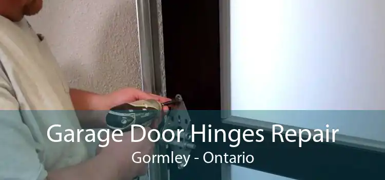 Garage Door Hinges Repair Gormley - Ontario