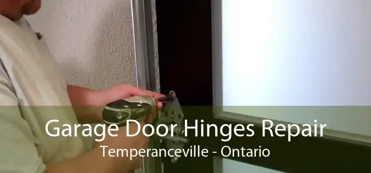 Garage Door Hinges Repair Temperanceville - Ontario