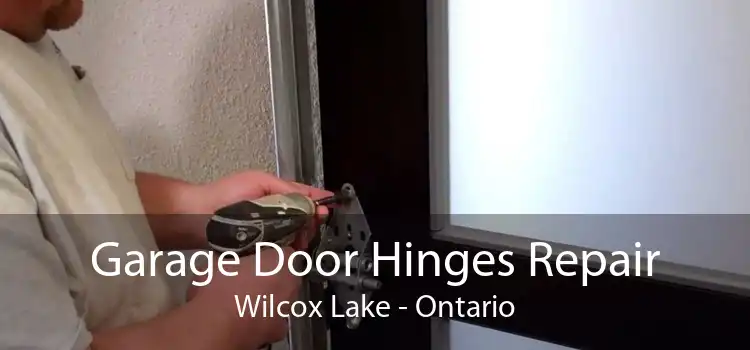 Garage Door Hinges Repair Wilcox Lake - Ontario