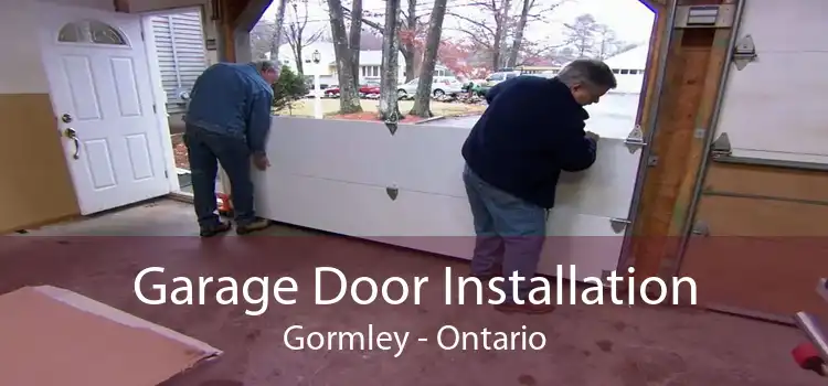 Garage Door Installation Gormley - Ontario
