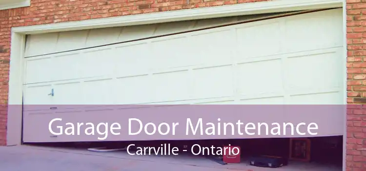 Garage Door Maintenance Carrville - Ontario