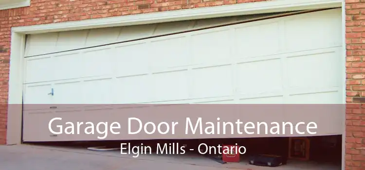 Garage Door Maintenance Elgin Mills - Ontario