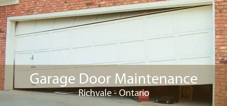 Garage Door Maintenance Richvale - Ontario