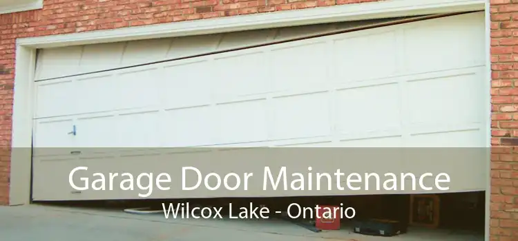 Garage Door Maintenance Wilcox Lake - Ontario
