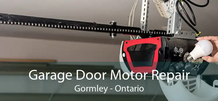 Garage Door Motor Repair Gormley - Ontario