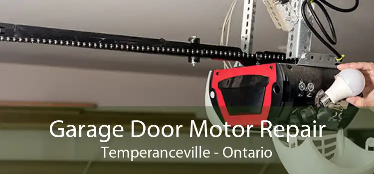 Garage Door Motor Repair Temperanceville - Ontario