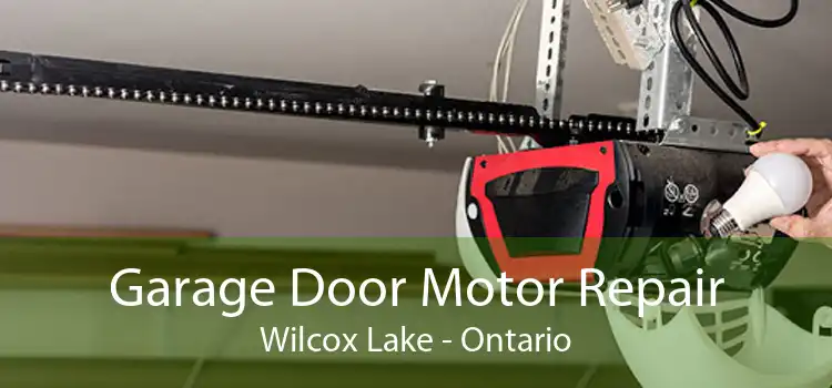 Garage Door Motor Repair Wilcox Lake - Ontario