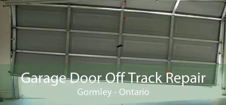 Garage Door Off Track Repair Gormley - Ontario