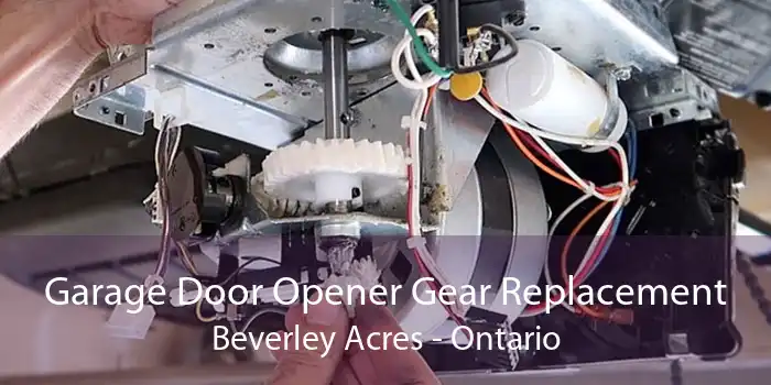 Garage Door Opener Gear Replacement Beverley Acres - Ontario