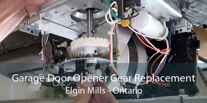 Garage Door Opener Gear Replacement Elgin Mills - Ontario