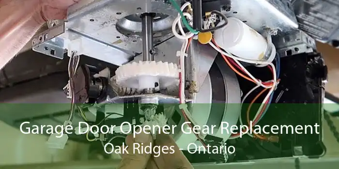 Garage Door Opener Gear Replacement Oak Ridges - Ontario