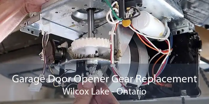 Garage Door Opener Gear Replacement Wilcox Lake - Ontario