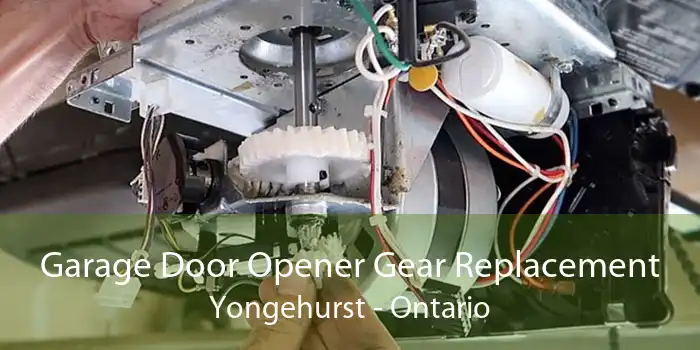 Garage Door Opener Gear Replacement Yongehurst - Ontario