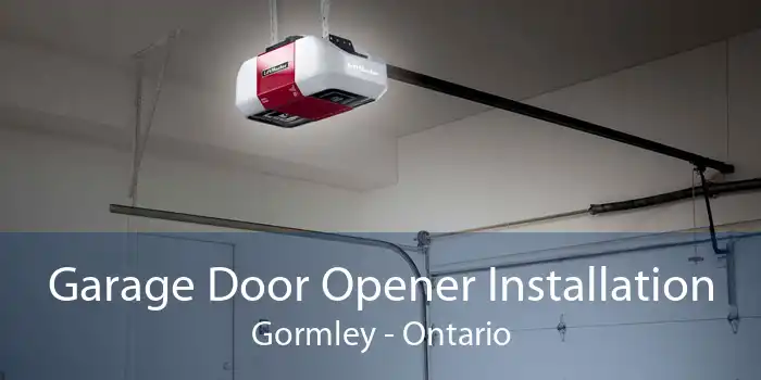 Garage Door Opener Installation Gormley - Ontario