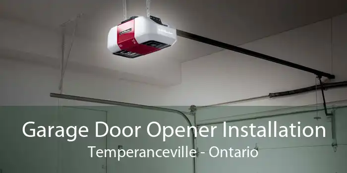 Garage Door Opener Installation Temperanceville - Ontario