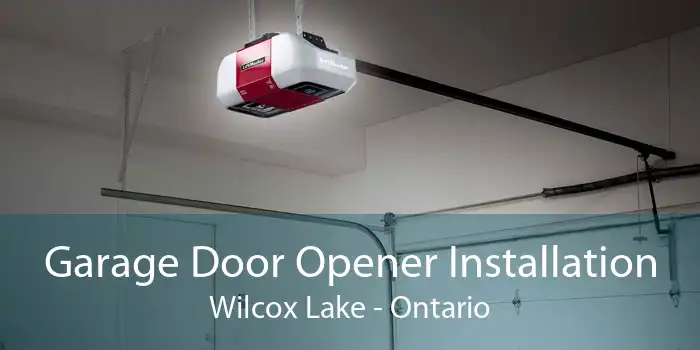 Garage Door Opener Installation Wilcox Lake - Ontario