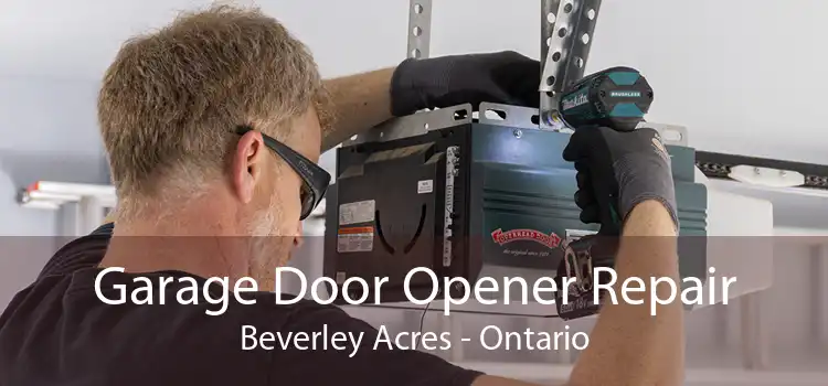 Garage Door Opener Repair Beverley Acres - Ontario