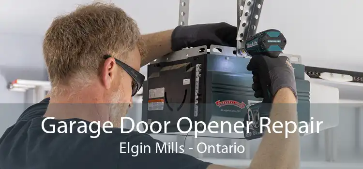 Garage Door Opener Repair Elgin Mills - Ontario