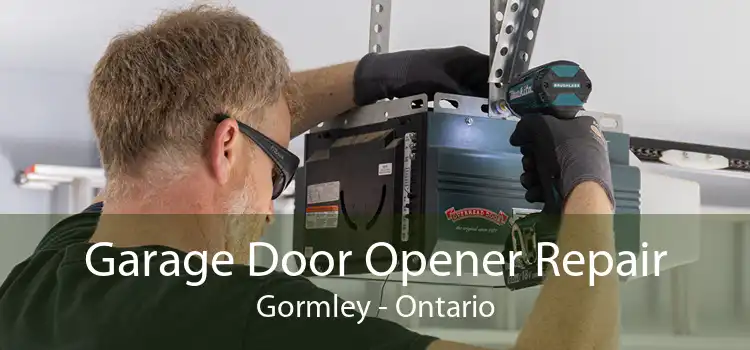 Garage Door Opener Repair Gormley - Ontario