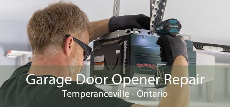 Garage Door Opener Repair Temperanceville - Ontario