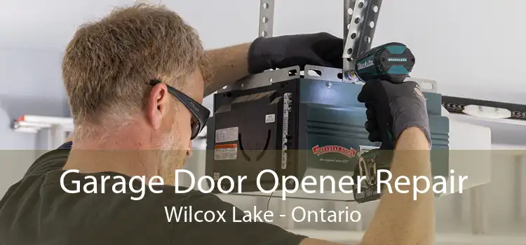 Garage Door Opener Repair Wilcox Lake - Ontario