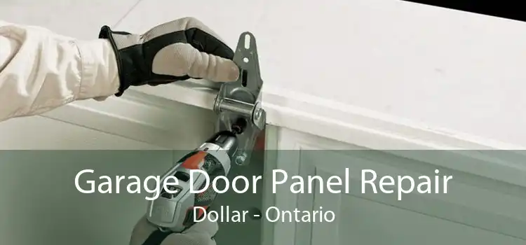 Garage Door Panel Repair Dollar - Ontario