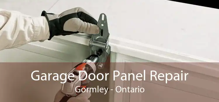 Garage Door Panel Repair Gormley - Ontario