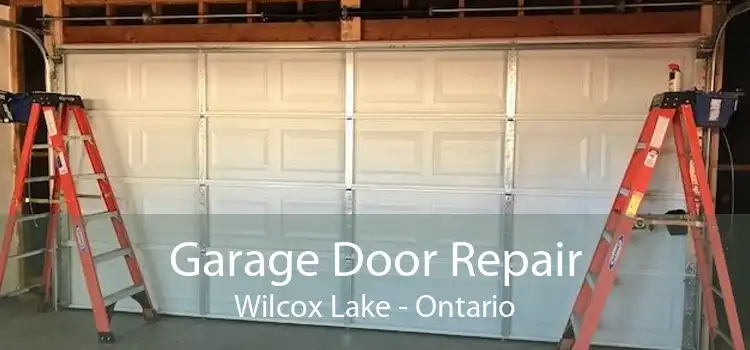 Garage Door Repair Wilcox Lake - Ontario
