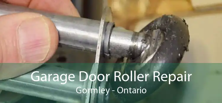 Garage Door Roller Repair Gormley - Ontario