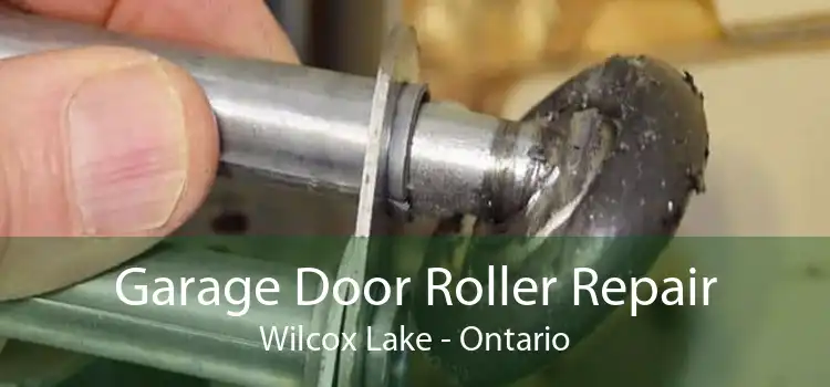Garage Door Roller Repair Wilcox Lake - Ontario