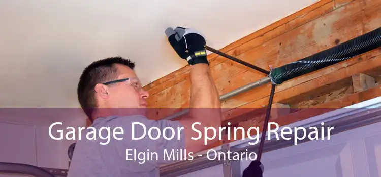 Garage Door Spring Repair Elgin Mills - Ontario