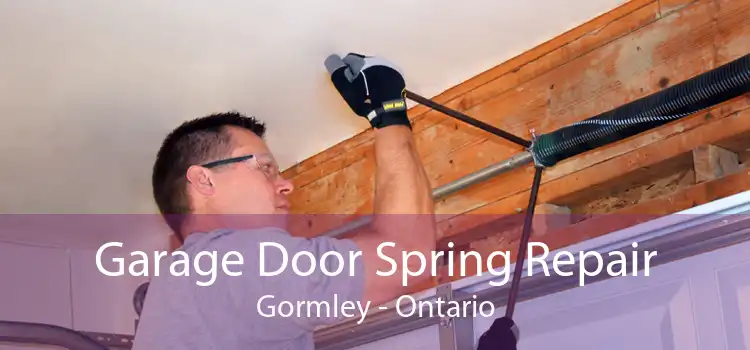 Garage Door Spring Repair Gormley - Ontario