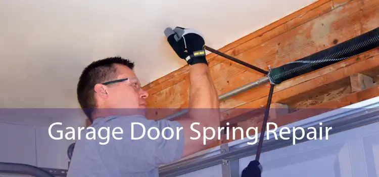 Garage Door Spring Repair 