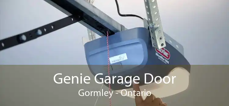 Genie Garage Door Gormley - Ontario