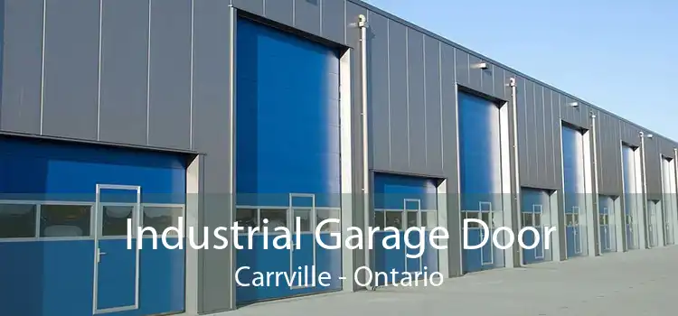 Industrial Garage Door Carrville - Ontario