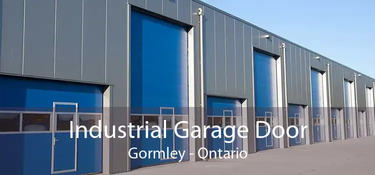 Industrial Garage Door Gormley - Ontario