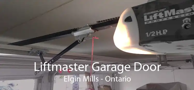 Liftmaster Garage Door Elgin Mills - Ontario