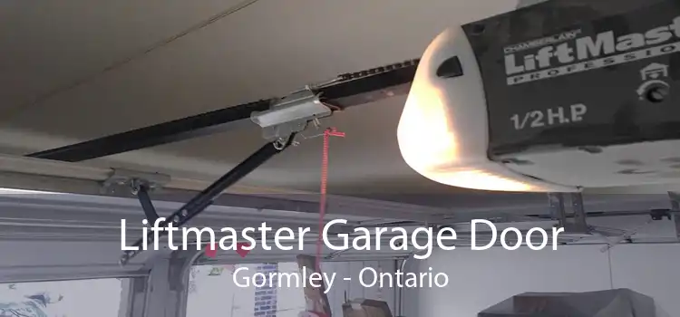 Liftmaster Garage Door Gormley - Ontario