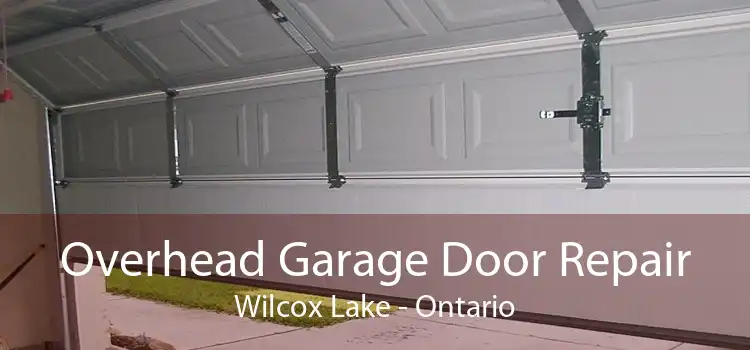 Overhead Garage Door Repair Wilcox Lake - Ontario