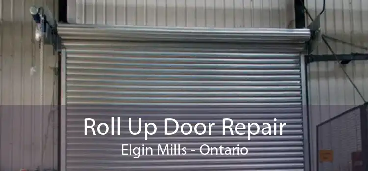 Roll Up Door Repair Elgin Mills - Ontario