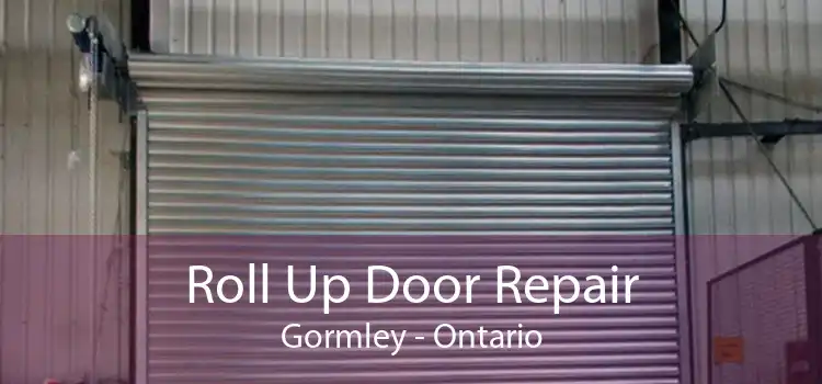 Roll Up Door Repair Gormley - Ontario