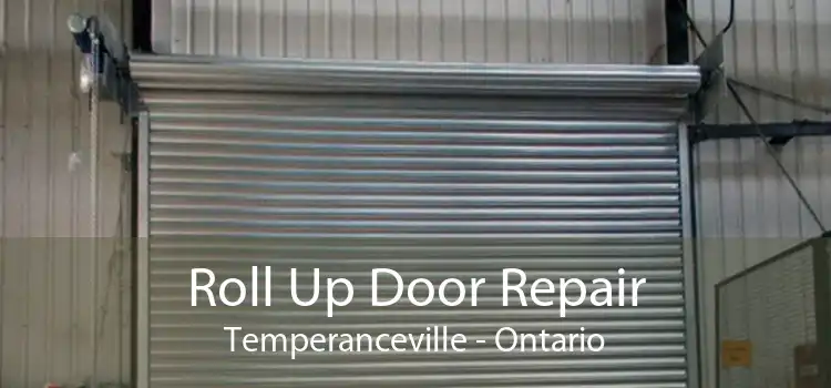 Roll Up Door Repair Temperanceville - Ontario