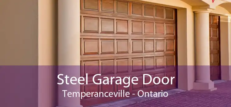 Steel Garage Door Temperanceville - Ontario